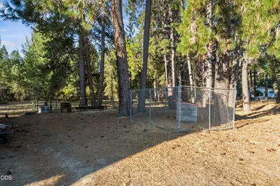 805 Minthorne Road, Rogue River, OR 97537 - Photo 25