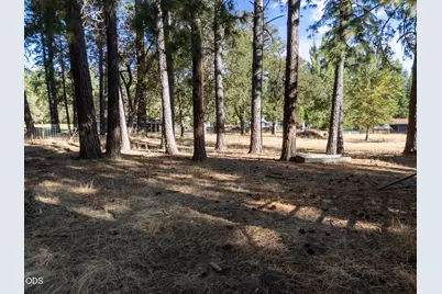 805 Minthorne Road, Rogue River, OR 97537 - Photo 33