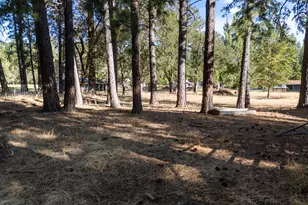 805 Minthorne Rd, Rogue River, OR 97537 - Photo 33