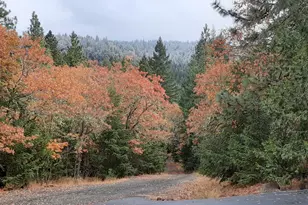 5831 Old Hwy 99 S, Ashland, OR 97520 - Photo 33
