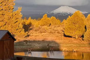 22311 McArdle Rd, Bend, OR 97702 - Photo 93