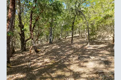 530 Greens Creek Road, Grants Pass, OR 97527 - Photo 65