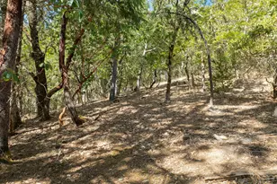 530 Greens Creek Rd, Grants Pass, OR 97527 - Photo 65