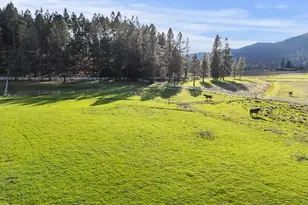 448 Ferry Rd, Grants Pass, OR 97526 - Photo 57