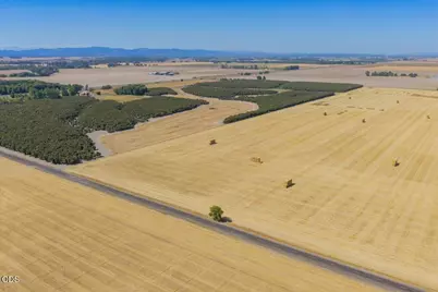 0 Morgan Drive, Shedd, OR 97377 - Photo 11