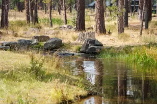 18211 Basalt Ln, Bend, OR 97707 - Photo 61