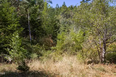 0 Murphy Creek Road TL #600, Grants Pass, OR 97527 - Photo 53
