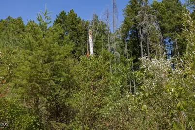 0 Murphy Creek Road TL #600, Grants Pass, OR 97527 - Photo 39