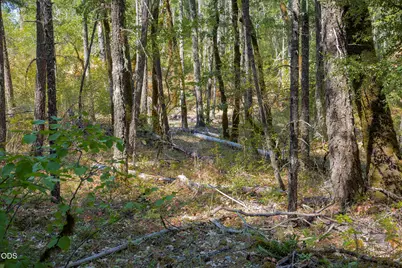0 Murphy Creek Road TL #600, Grants Pass, OR 97527 - Photo 25