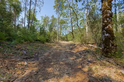0 Murphy Creek Road TL #600, Grants Pass, OR 97527 - Photo 31
