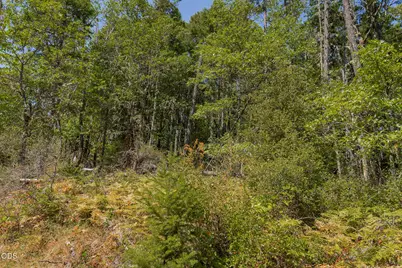0 Murphy Creek Road TL #600, Grants Pass, OR 97527 - Photo 43