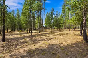 52216 Moose Rd, La Pine, OR 97739 - Photo 69