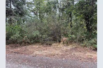 0 Elk Creek Road, Trail, OR 97541 - Photo 1