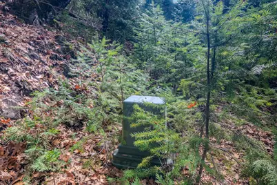 Tyler Creek Road, Ashland, OR 97520 - Photo 9