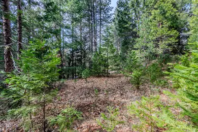 Tyler Creek Road, Ashland, OR 97520 - Photo 11