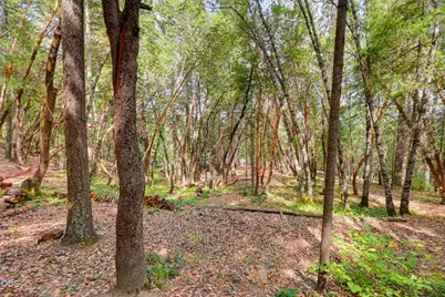 5010 Old Highway 99 S, Ashland, OR 97520 - Photo 49