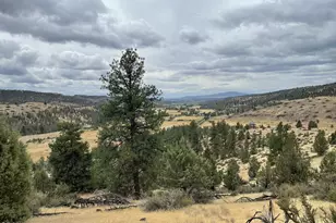 3335 NE McKay Creek Rd, Prineville, OR 97754 - Photo 39