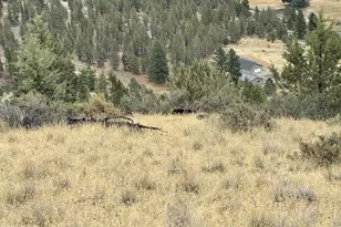 3335 NE McKay Creek Rd, Prineville, OR 97754 - Photo 41