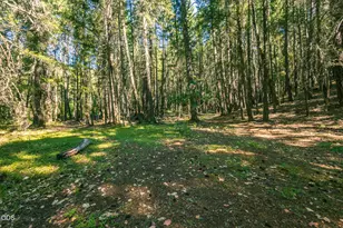 6058 Deer Creek Rd, Selma, OR 97538 - Photo 45