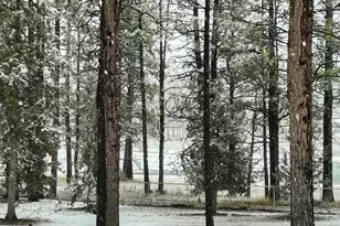 9045 Ground Squirrel Dr, Bonanza, OR 97623 - Photo 15