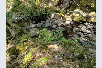 1407 Caves Camp Road, Williams, OR 97544 - Photo 15