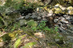 1407 Caves Camp Rd, Williams, OR 97544 - Photo 15