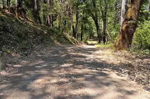 1407 Caves Camp Rd, Williams, OR 97544 - Photo 13