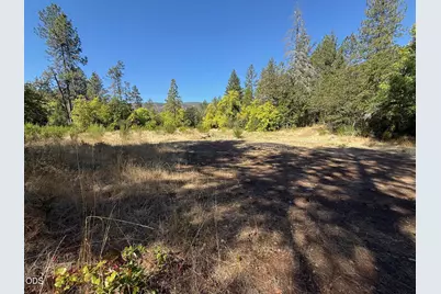 705 Lone Mountain Road, O'Brien, OR 97534 - Photo 19