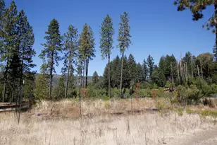 705 Lone Mountain Rd, O'Brien, OR 97534 - Photo 29