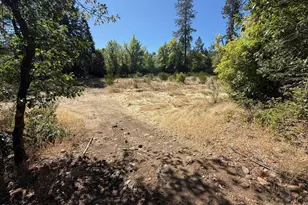 705 Lone Mountain Rd, O'Brien, OR 97534 - Photo 25