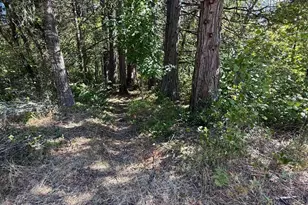 705 Lone Mountain Rd, O'Brien, OR 97534 - Photo 37