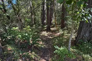 705 Lone Mountain Rd, O'Brien, OR 97534 - Photo 35