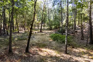 200 Harlow Way, Cave Junction, OR 97523 - Photo 41