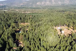 200 Harlow Way, Cave Junction, OR 97523 - Photo 43