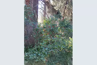 3635 Cahuilla Circle, Chiloquin, OR 97624 - Photo 23