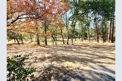 6701 Tunnel Loop Road, Grants Pass, OR 97526 - Photo 5