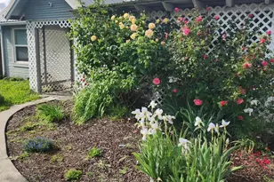 247 Berrydale Ave, Medford, OR 97501 - Photo 31