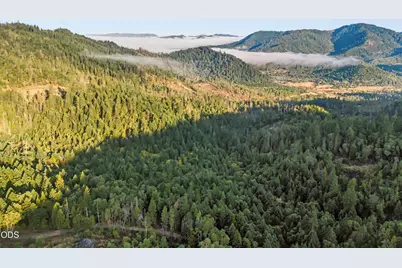 300 Shanks Creek Road, Wolf Creek, OR 97497 - Photo 33