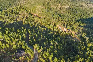 300 Shanks Creek Rd, Wolf Creek, OR 97497 - Photo 3