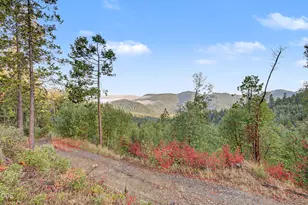 300 Shanks Creek Rd, Wolf Creek, OR 97497 - Photo 9