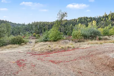 300 Shanks Creek Road, Wolf Creek, OR 97497 - Photo 7
