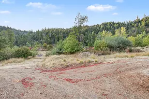 300 Shanks Creek Rd, Wolf Creek, OR 97497 - Photo 7