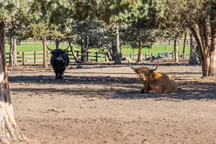 68405 Fryrear Rd, Sisters, OR 97759 - Photo 57