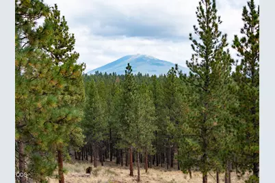 14857 Wildwing Road, Sisters, OR 97759 - Photo 9