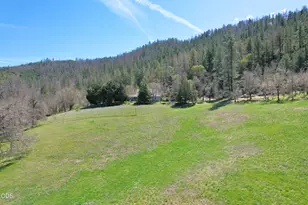 71 Yale Creek Rd, Jacksonville, OR 97530 - Photo 81