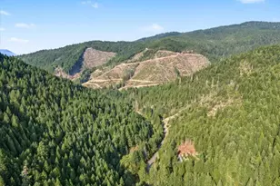 7007 Placer Rd, Wolf Creek, OR 97497 - Photo 95