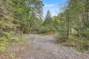 7007 Placer Rd, Wolf Creek, OR 97497 - Photo 73