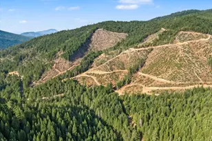 7007 Placer Rd, Wolf Creek, OR 97497 - Photo 111