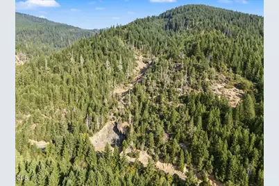 7007 Placer Road, Wolf Creek, OR 97497 - Photo 91
