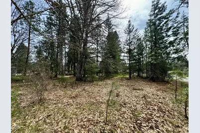 731 N Old Stage Road, Cave Junction, OR 97523 - Photo 3